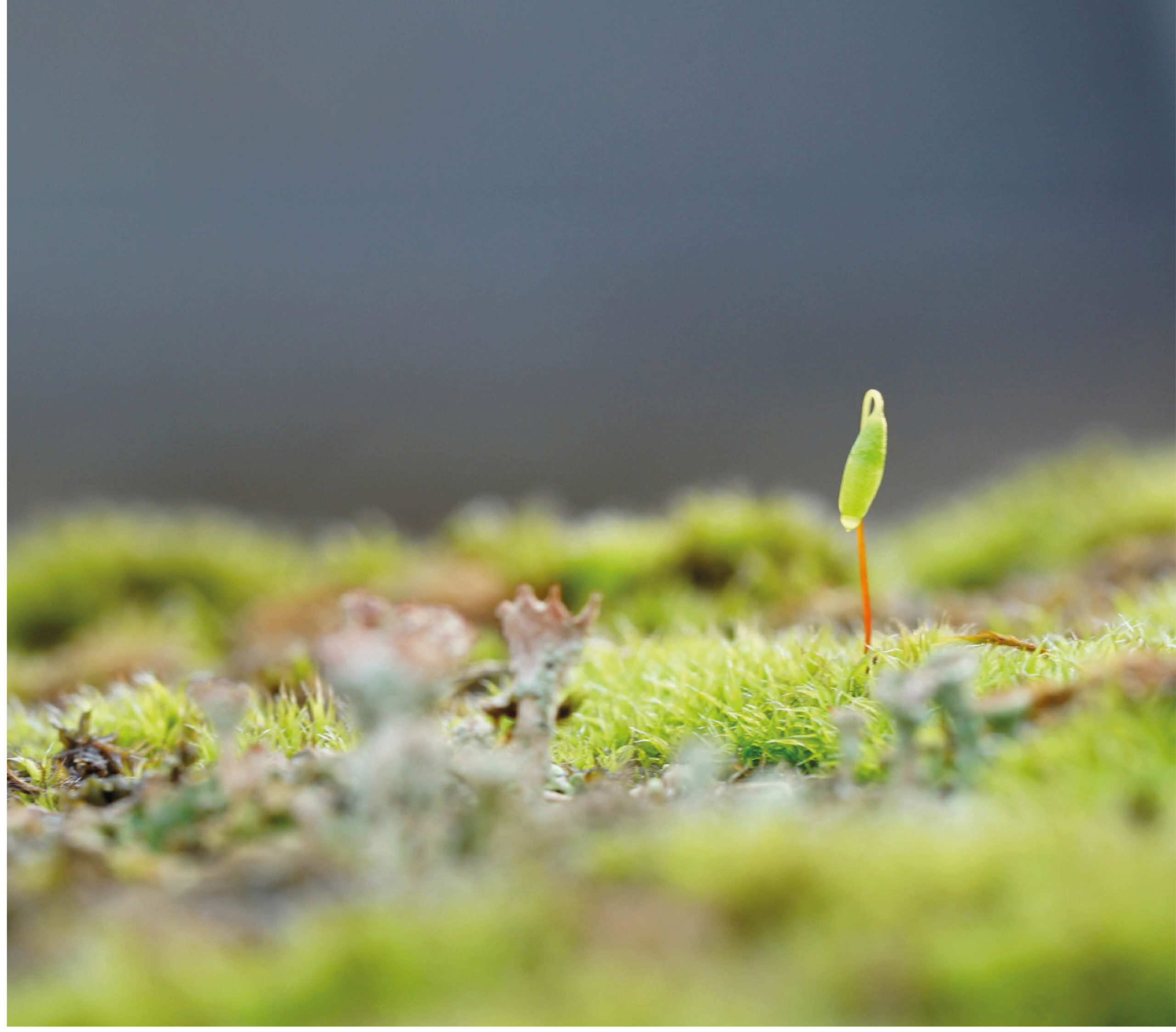 hypersensible-cyriellegirod-coaching