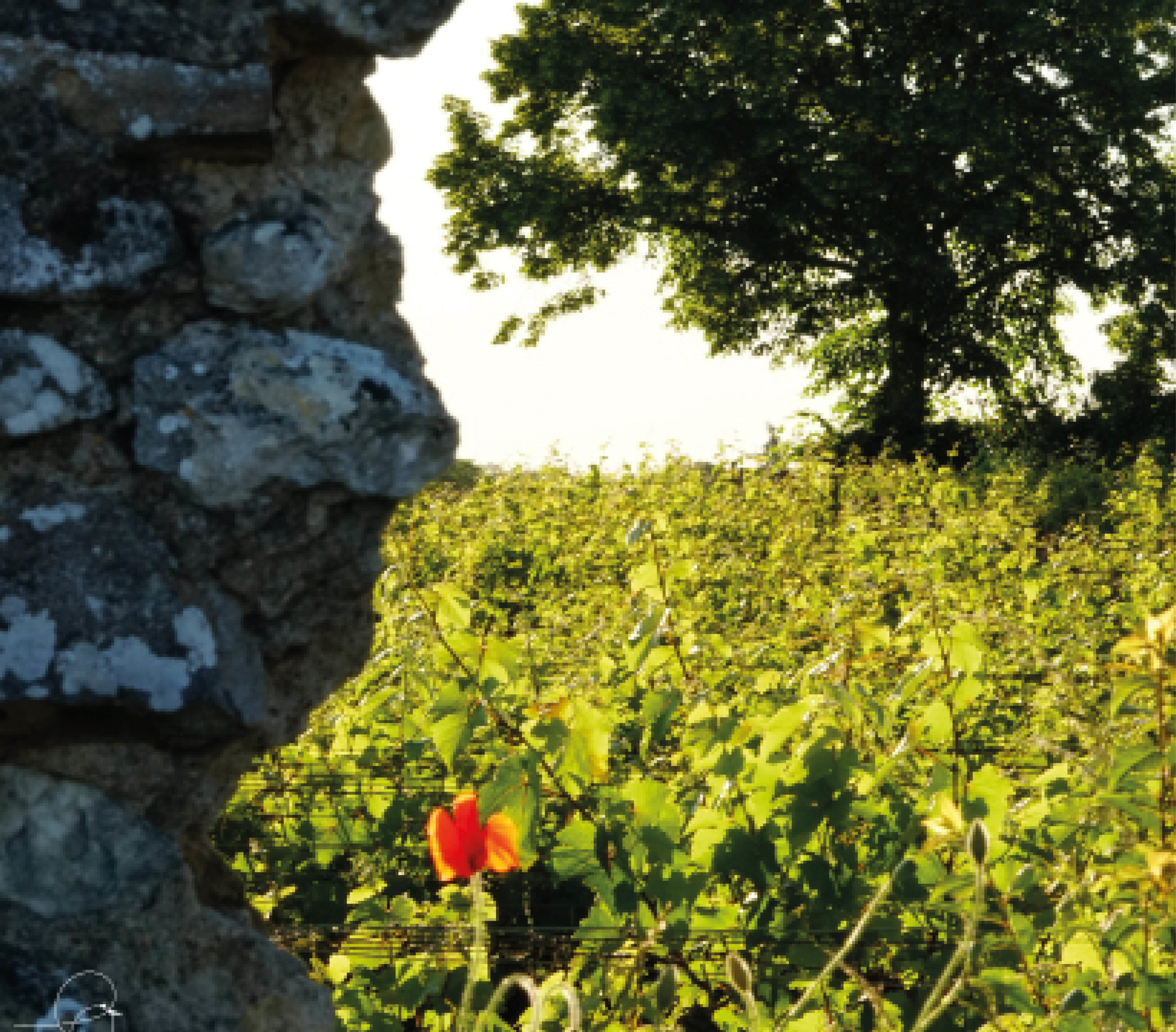 Complementarite-cyriellegirod-coaching